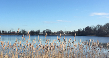 Groot meer in de omgeving van Den Bosch